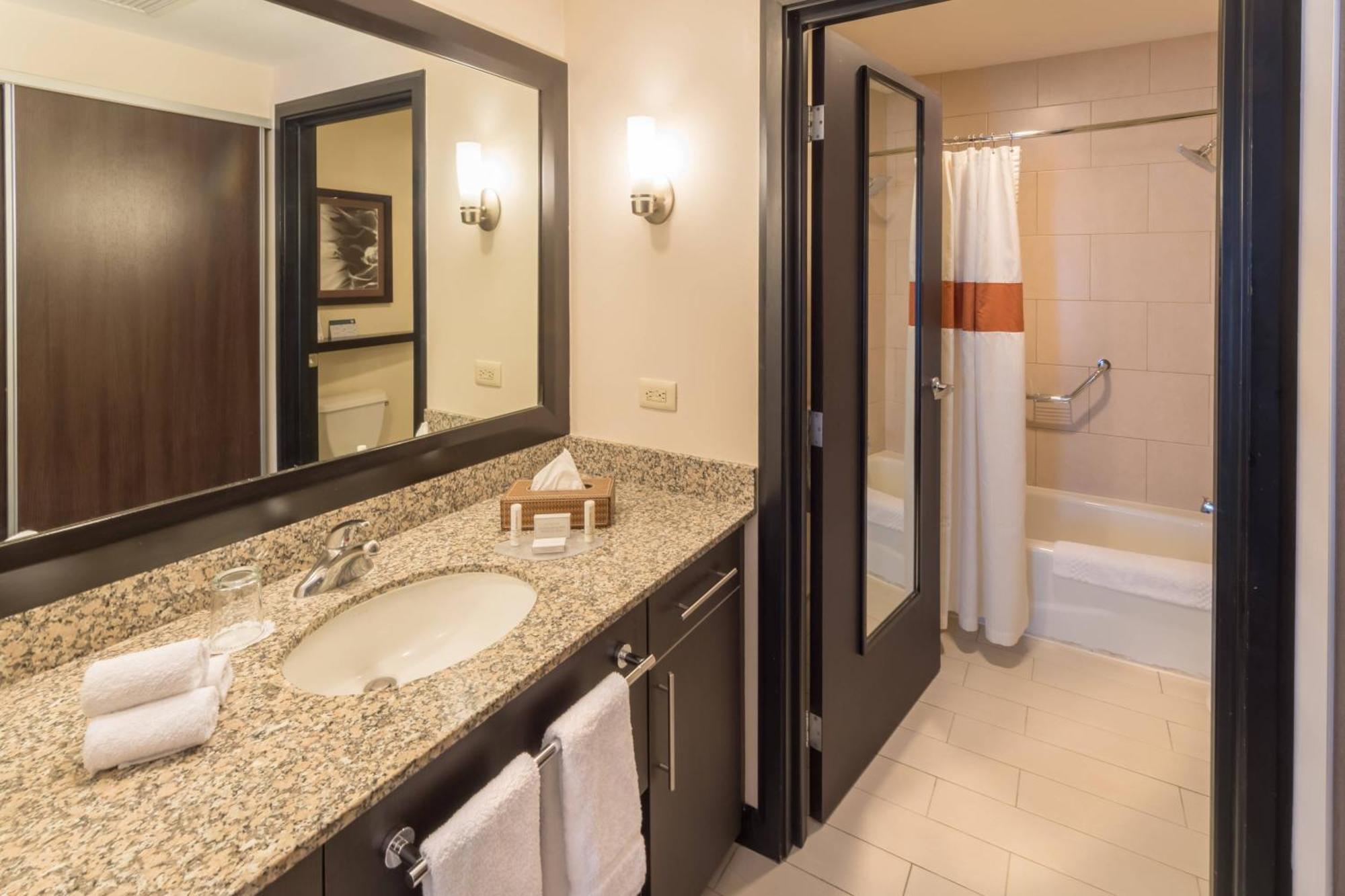 One-Bedroom Suite with Sofa Bed